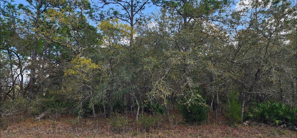 Property for sale at 18106 PARAKEET ROAD, BROOKSVILLE, FL, 34614