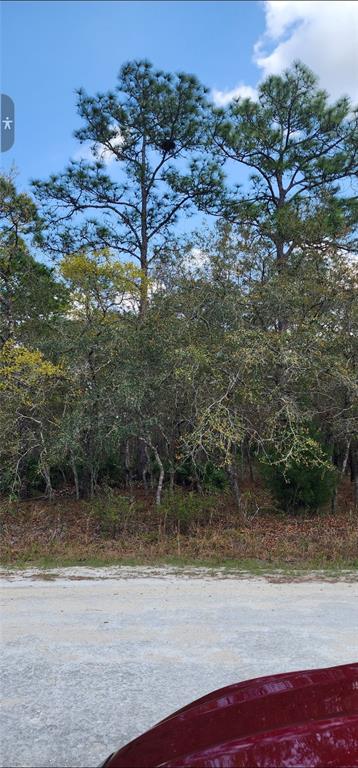 Property for sale at 18106 PARAKEET ROAD, BROOKSVILLE, FL, 34614