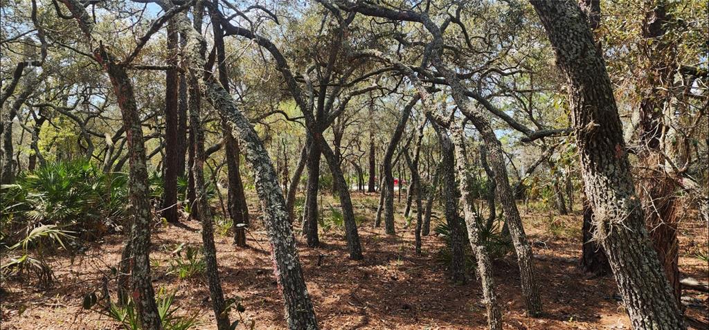 Property for sale at 18106 PARAKEET ROAD, BROOKSVILLE, FL, 34614