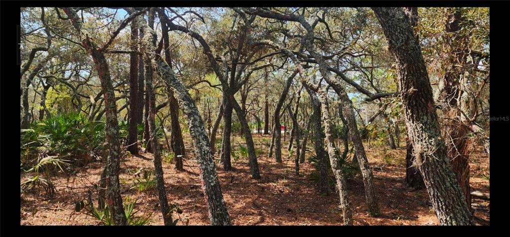 Property for sale at 18106 PARAKEET ROAD, BROOKSVILLE, FL, 34614
