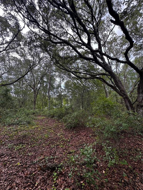Property for sale at 00 SE 115TH PLACE RD., OCKLAWAHA, FL, 32179