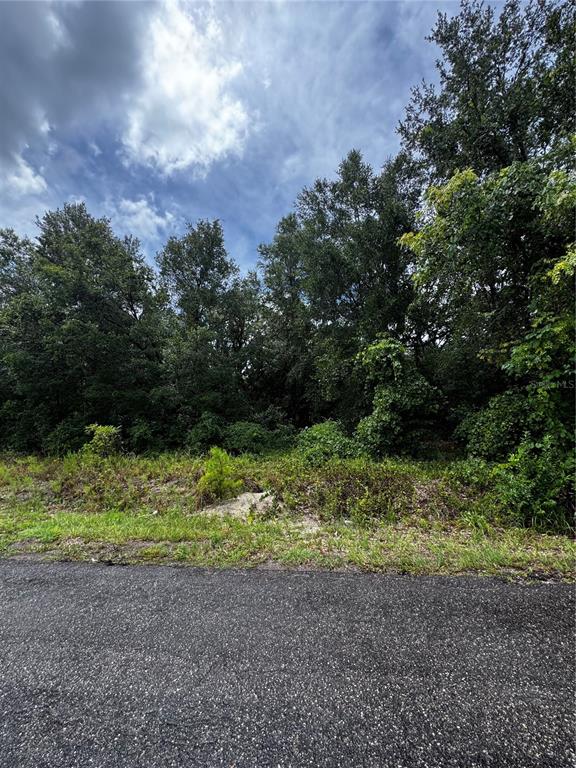 Property for sale at 00 SE 115TH PLACE RD., OCKLAWAHA, FL, 32179