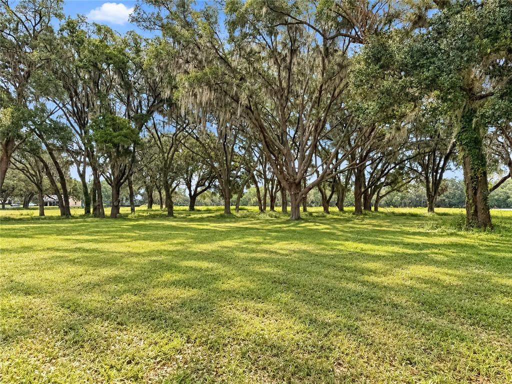 Property for sale at TBD SW 104 STREET ROAD, OCALA, FL, 34476
