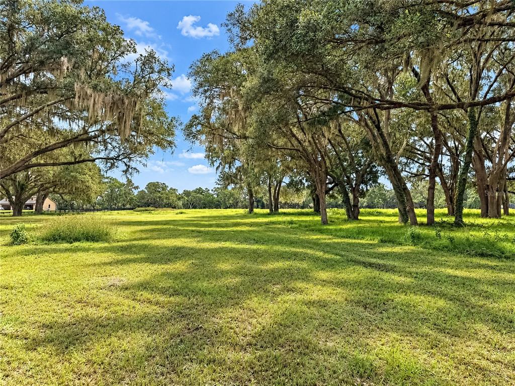 Property for sale at TBD SW 104 STREET ROAD, OCALA, FL, 34476