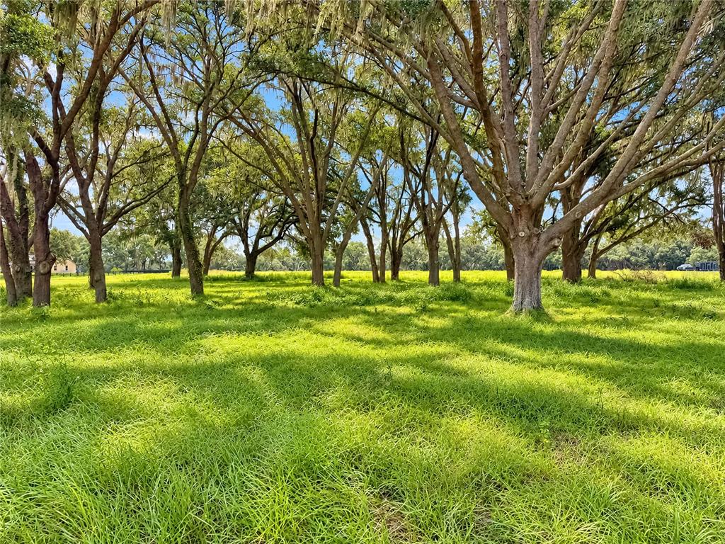 Property for sale at TBD SW 104 STREET ROAD, OCALA, FL, 34476