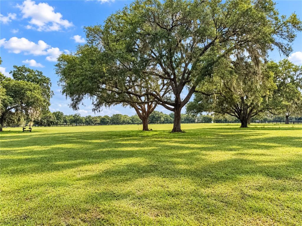 Property for sale at TBD SW 104 STREET ROAD, OCALA, FL, 34476