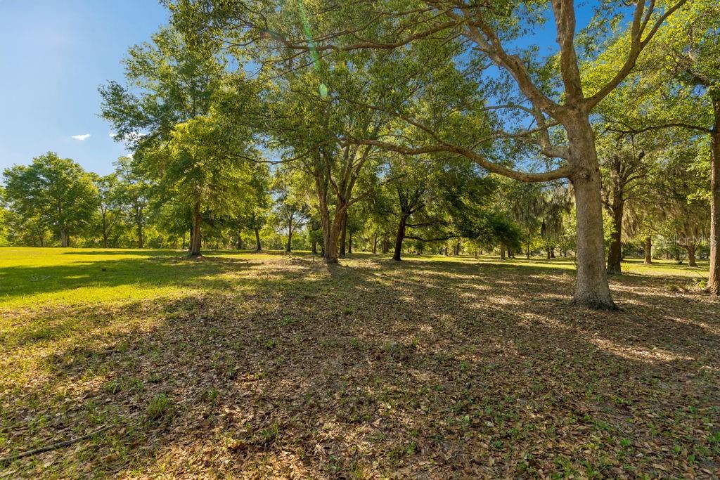 Property for sale at 31501 REED ROAD, DADE CITY, FL, 33523