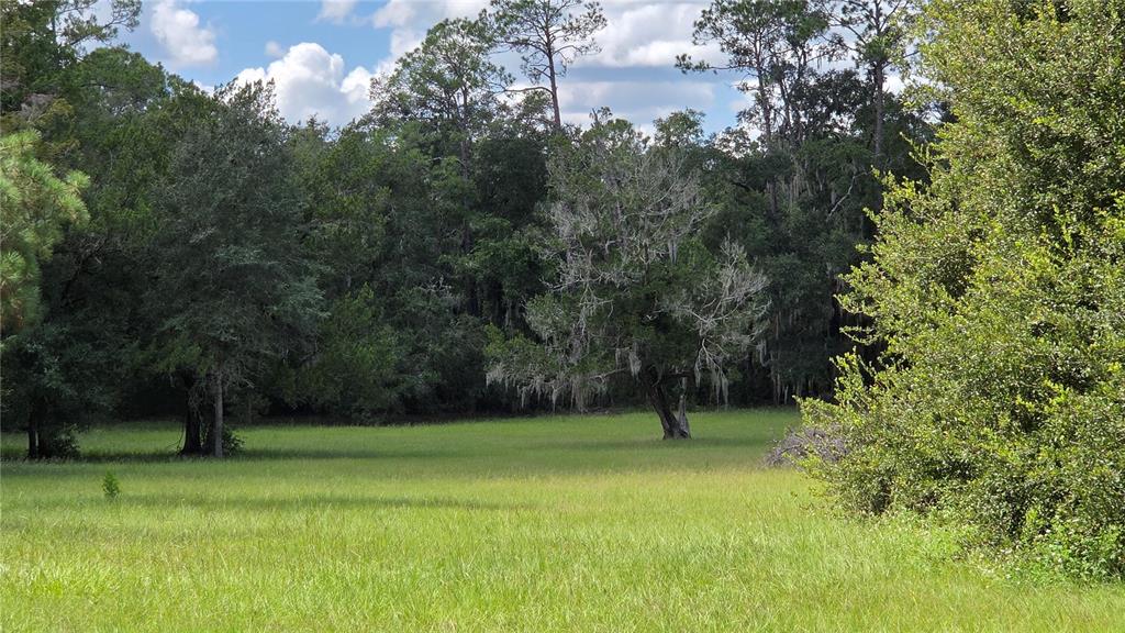 Fenced pasture