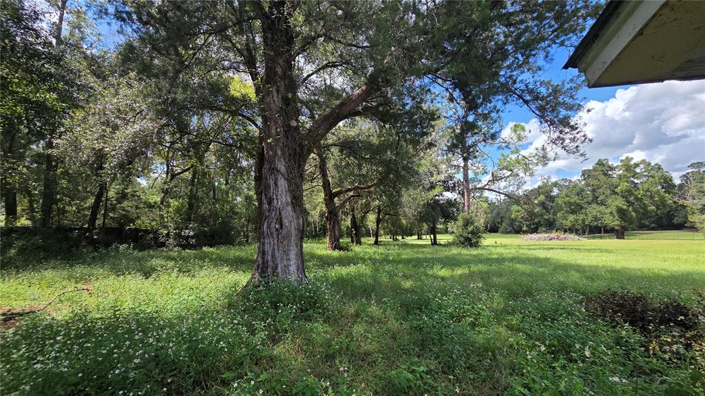 Fenced pasture behind pump house