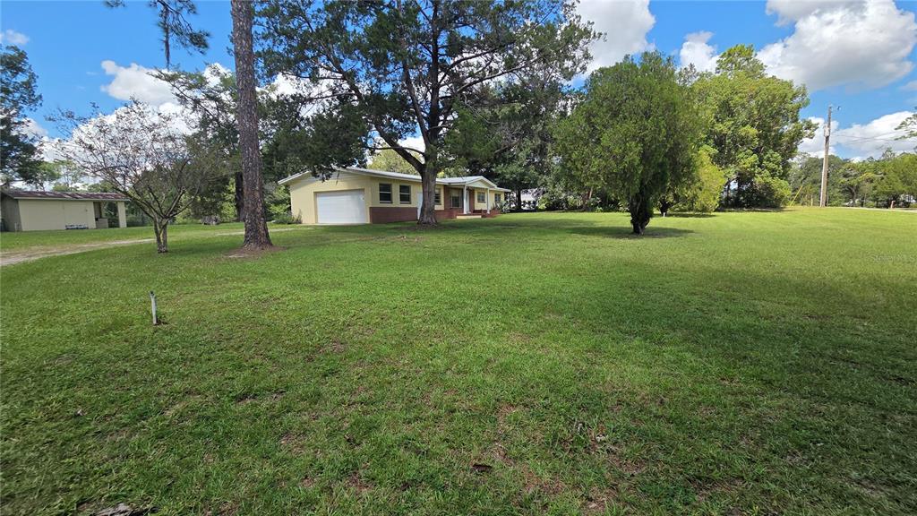 Side view of front yard