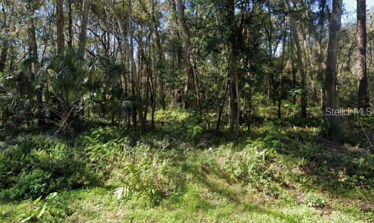 Property for sale at 0 ZOLLER STREET, BROOKSVILLE, FL, 34601