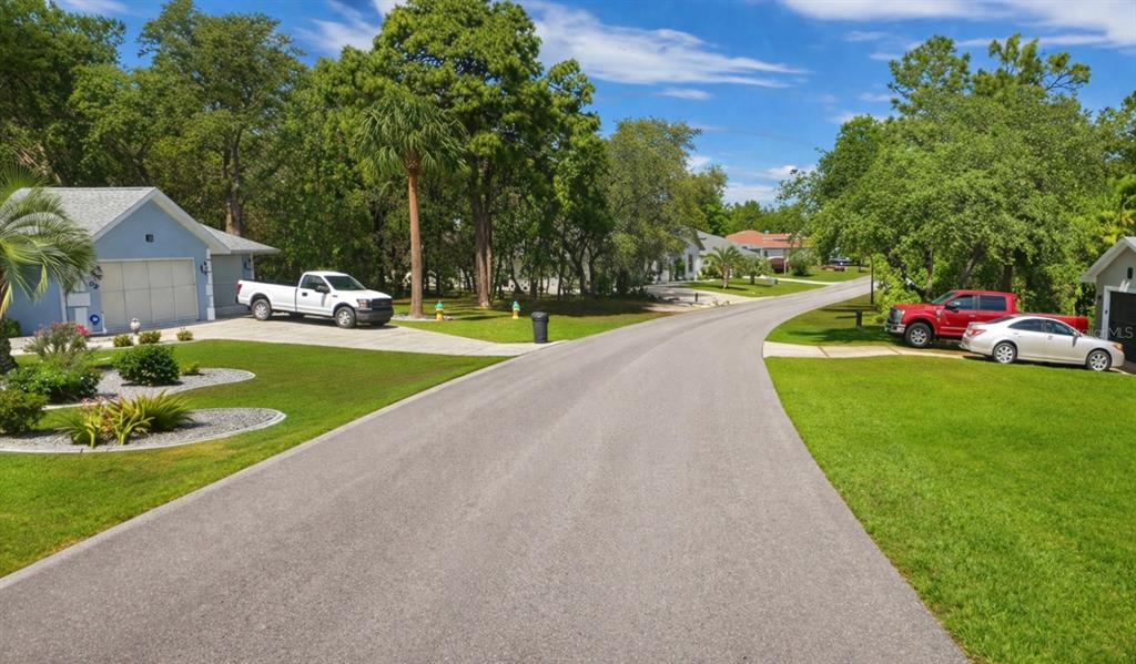 Property for sale at 17 SPECEBERRY CIRCLE, HOMOSASSA, FL, 34446