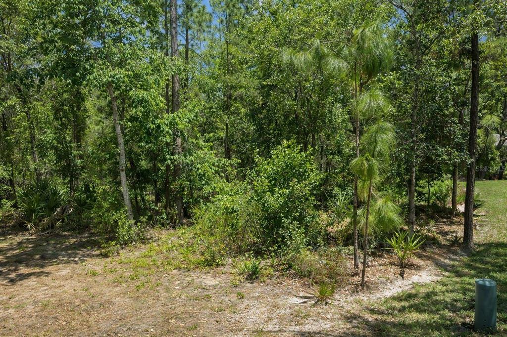 Property for sale at 17 SPECEBERRY CIRCLE, HOMOSASSA, FL, 34446