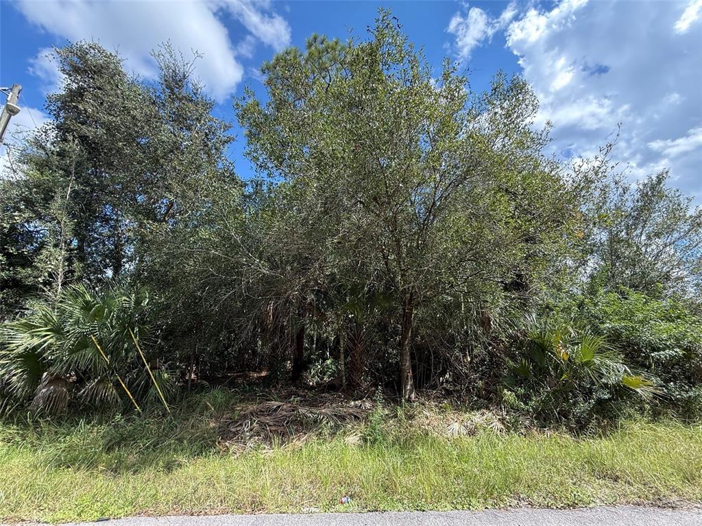 Property for sale at 6000 VERA AVENUE N, LEHIGH ACRES, FL, 33971