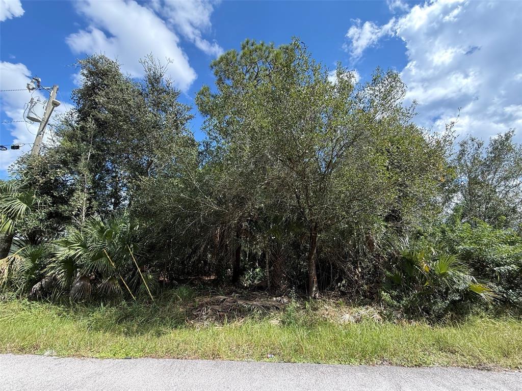 Property for sale at 6000 VERA AVENUE N, LEHIGH ACRES, FL, 33971