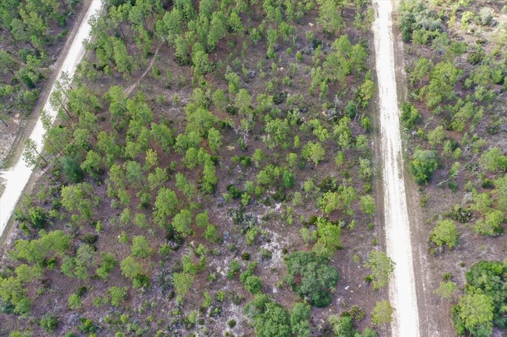 Property for sale at 0000 NE 132 TERRACE LOT 4 TERRACE, WILLISTON, FL, 32696