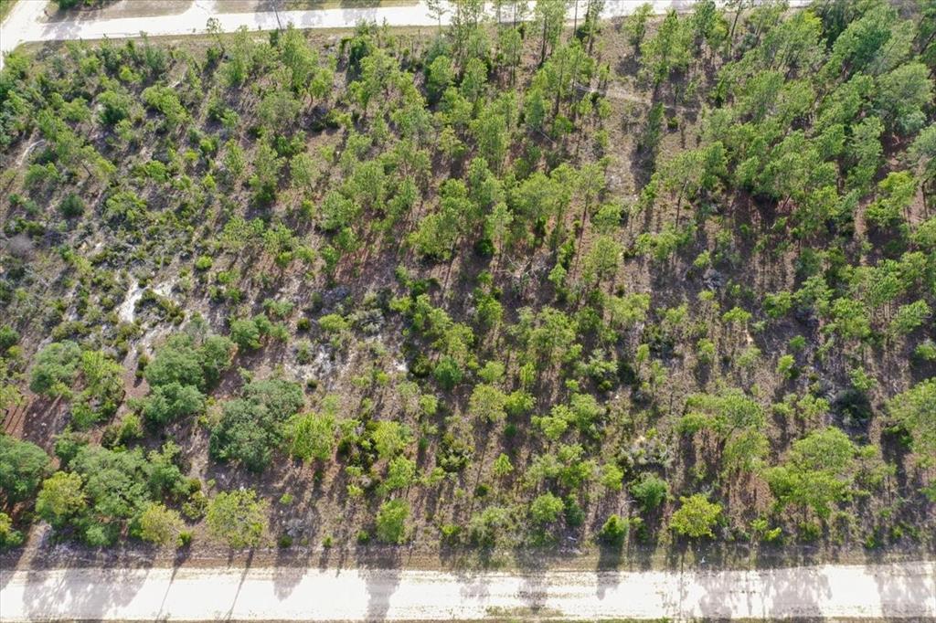 Property for sale at 0000 NE 132 TERRACE LOT 4 TERRACE, WILLISTON, FL, 32696