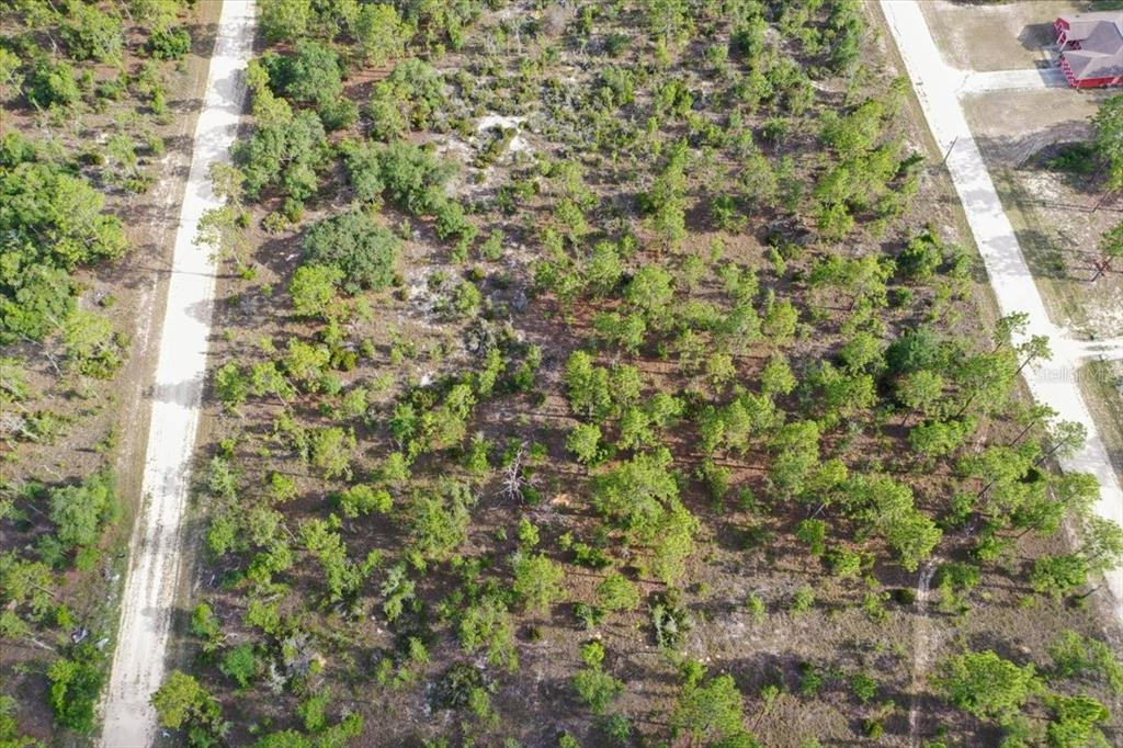 Property for sale at 0000 NE 132 TERRACE LOT 4 TERRACE, WILLISTON, FL, 32696