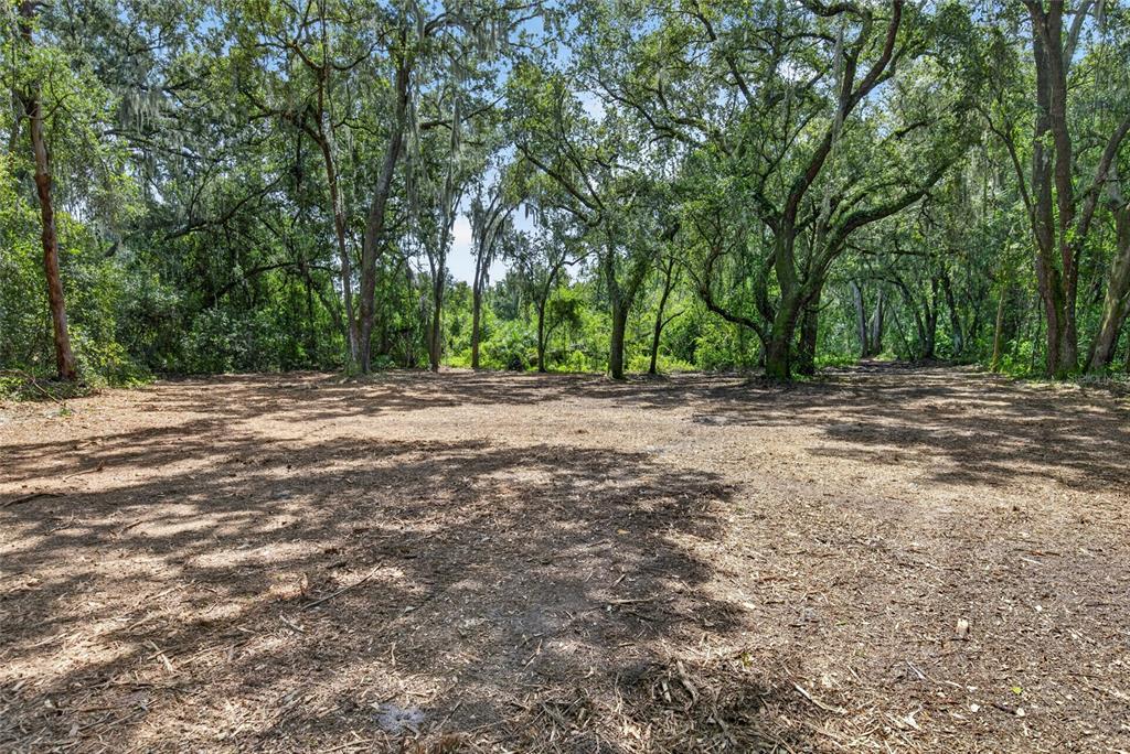 Property for sale at 00 W KNIGHTS GRIFFIN ROAD, PLANT CITY, FL, 33565