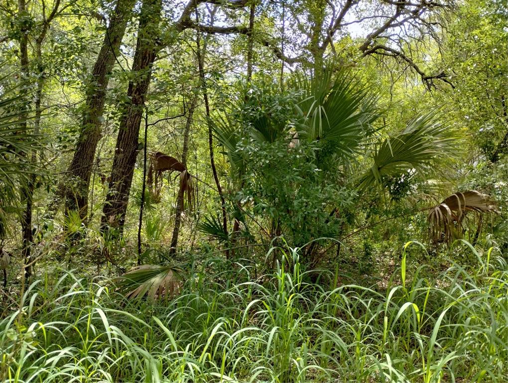 Property for sale at DOGWOOD WAY, LADY LAKE, FL, 32159