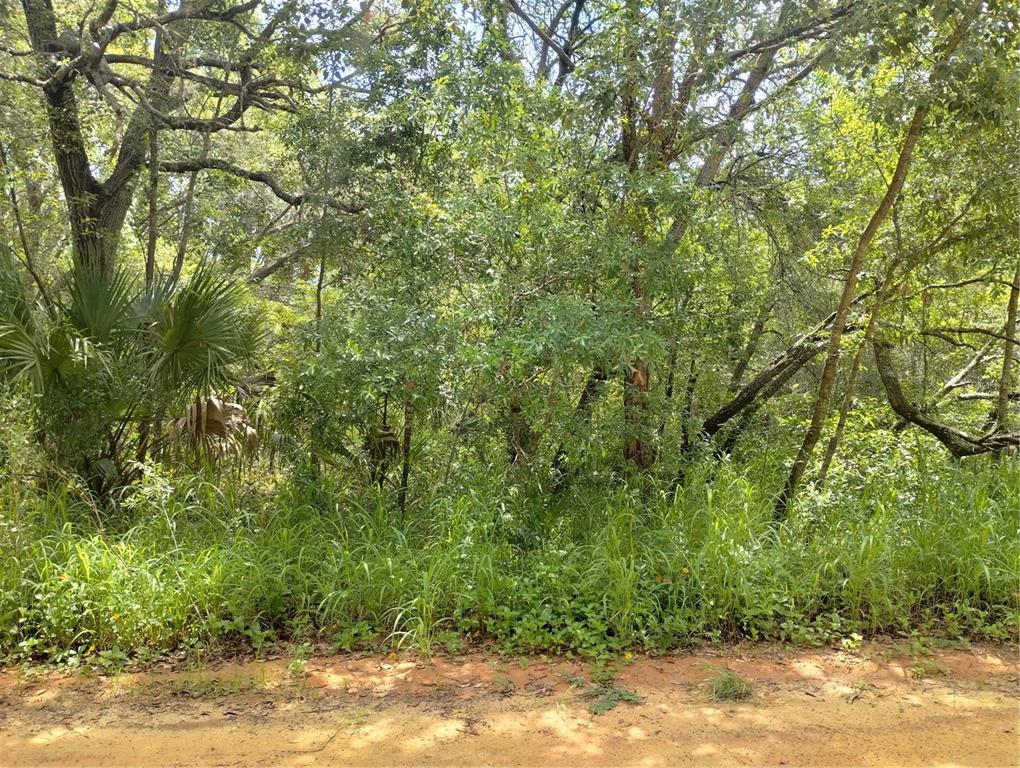 Property for sale at DOGWOOD WAY, LADY LAKE, FL, 32159