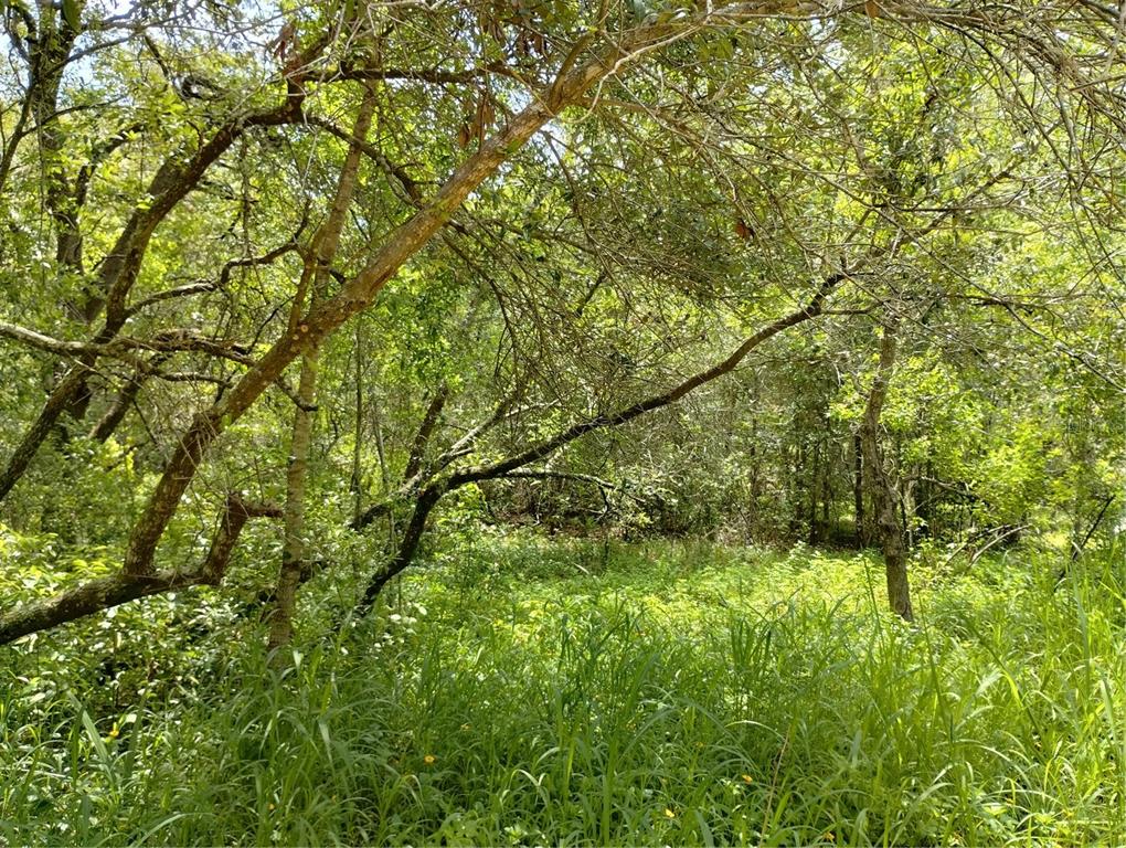 Property for sale at DOGWOOD WAY, LADY LAKE, FL, 32159