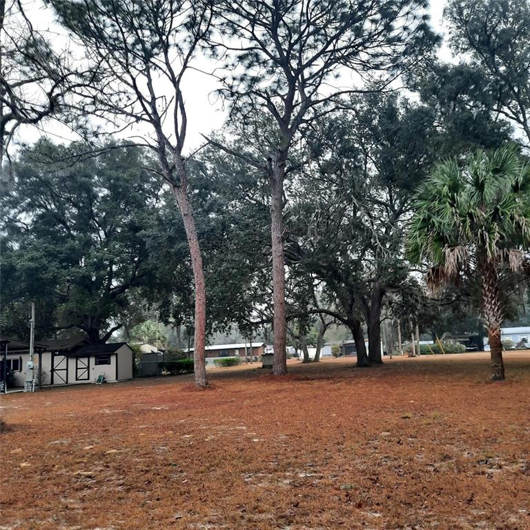 Property for sale at 0000 NE 148TH COURT, FORT MC COY, FL, 32134