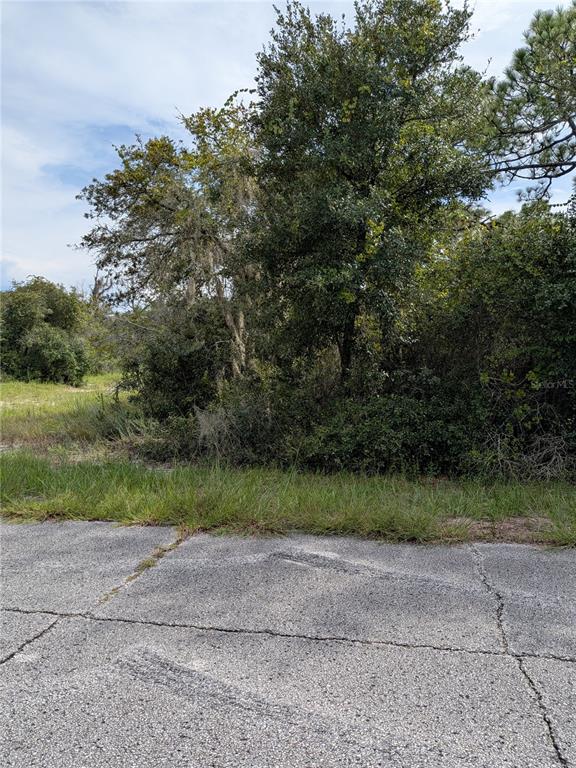 Property for sale at 408 VERNON COURT, KISSIMMEE, FL, 34759