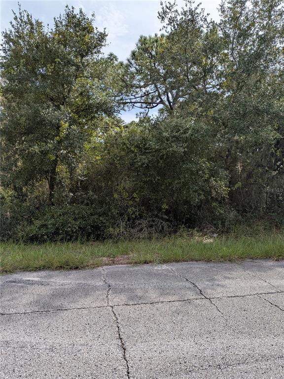 Property for sale at 408 VERNON COURT, KISSIMMEE, FL, 34759