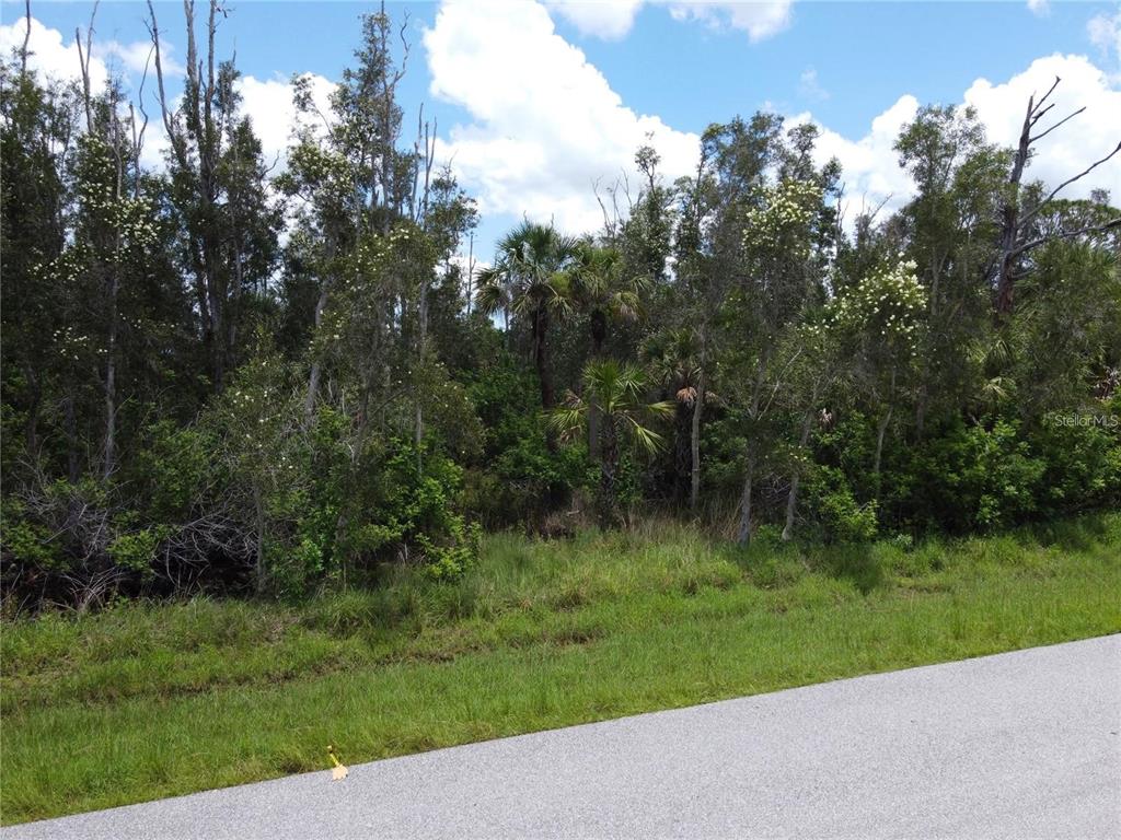 Property for sale at 14120 MYAKKA AVENUE, PORT CHARLOTTE, FL, 33953