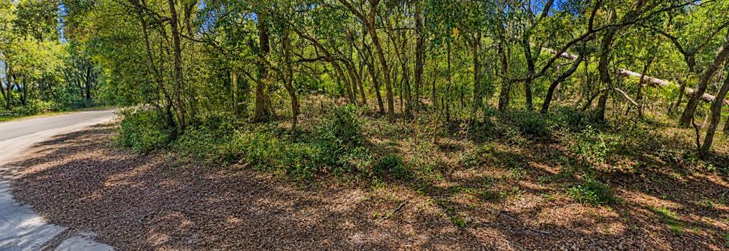 Property for sale at 0 MALAUKA RADIAL CRSE, OCKLAWAHA, FL, 32179