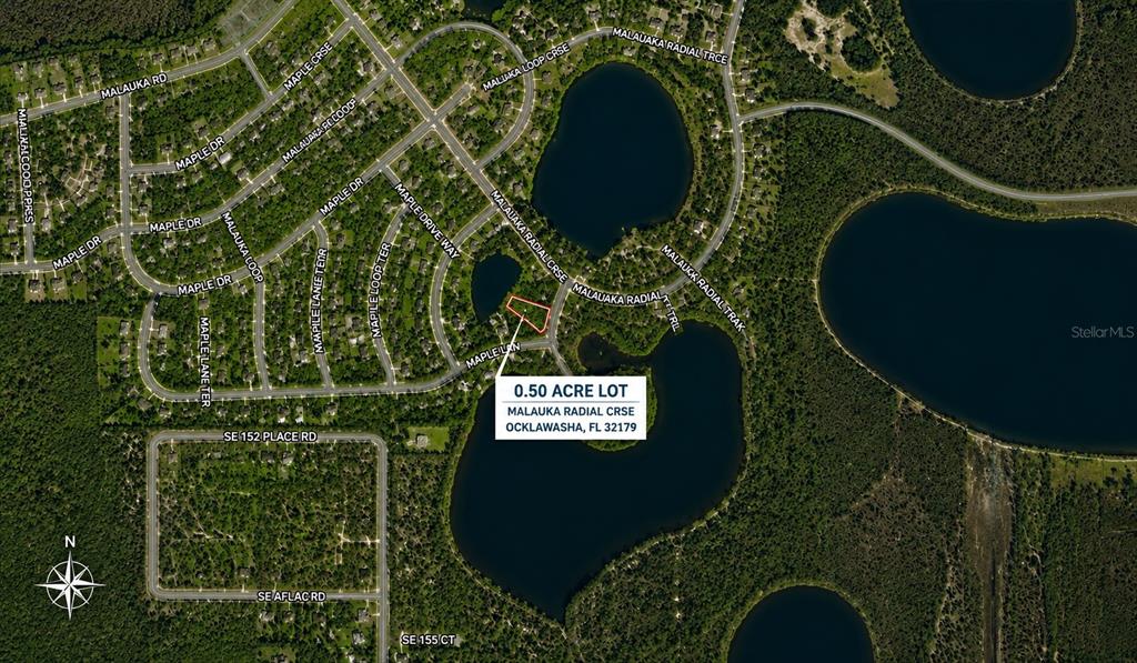 Property for sale at 0 MALAUKA RADIAL CRSE, OCKLAWAHA, FL, 32179