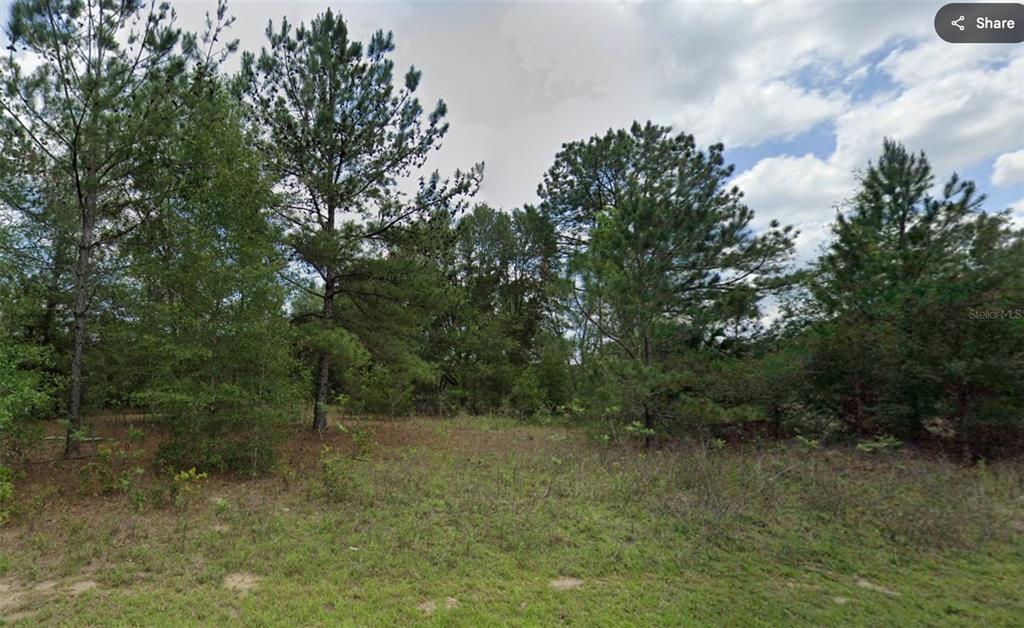 Property for sale at 576 E ABADY LANE, DUNNELLON, FL, 34434
