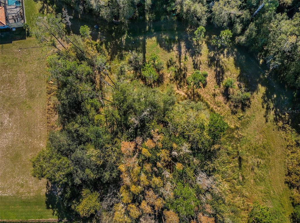 Property for sale at 4445 LANSBROOK PARKWAY, PALM HARBOR, FL, 34685