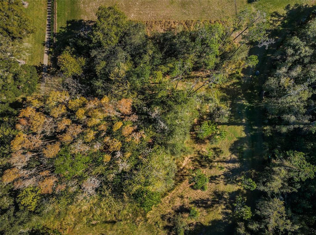 Property for sale at 4445 LANSBROOK PARKWAY, PALM HARBOR, FL, 34685