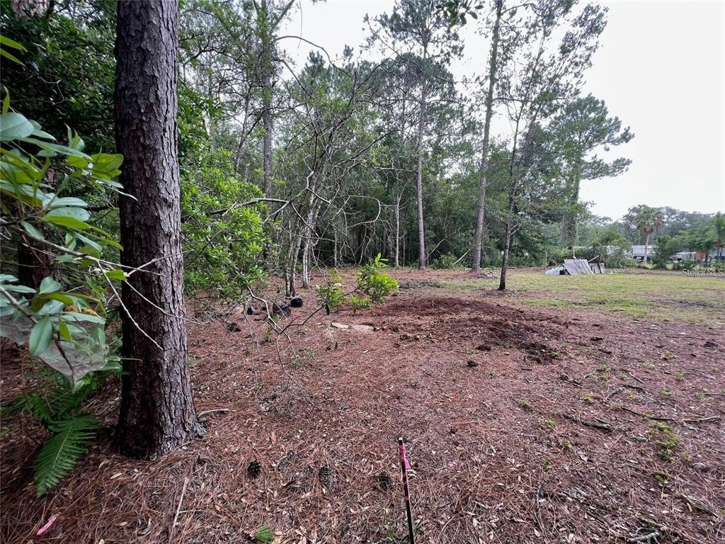 Property for sale at 12955 RIO VISTA AVENUE, NEW PORT RICHEY, FL, 34654