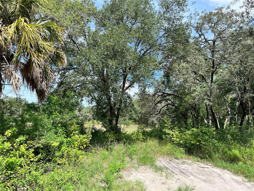 Property for sale at 13339 VIVIAN LANE, HUDSON, FL, 34669