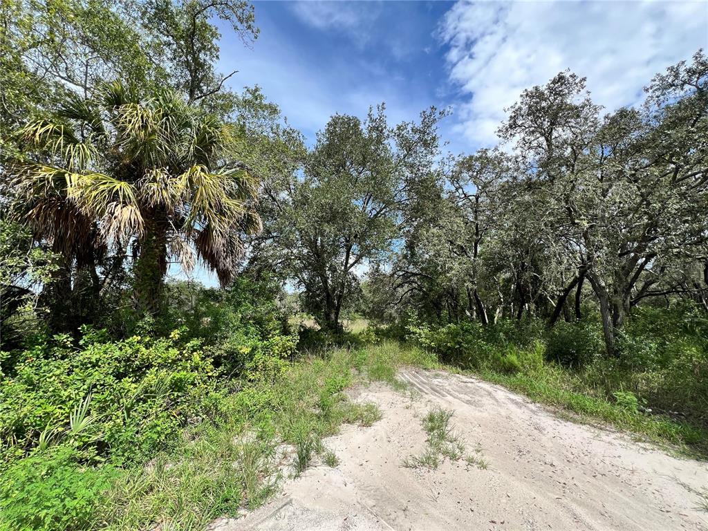 Property for sale at 13339 VIVIAN LANE, HUDSON, FL, 34669