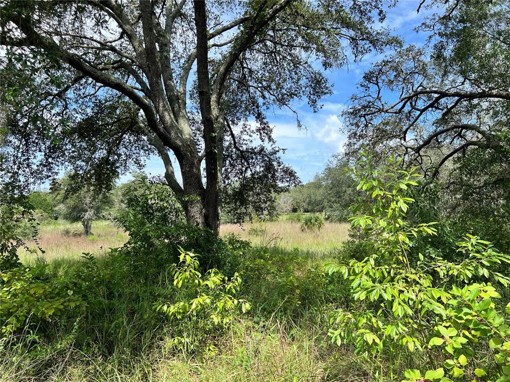 Property for sale at 13339 VIVIAN LANE, HUDSON, FL, 34669