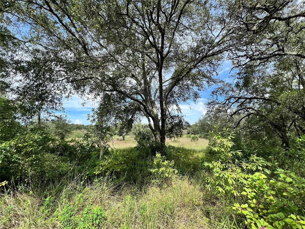Property for sale at 13339 VIVIAN LANE, HUDSON, FL, 34669