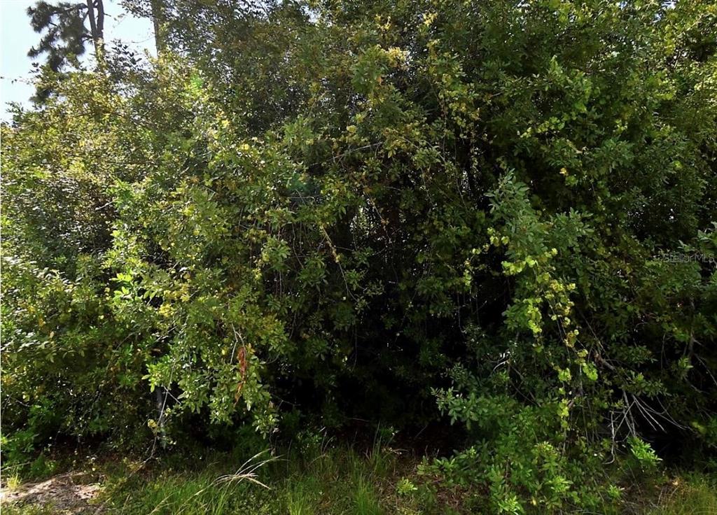 Property for sale at MAP AVENUE, NORTH PORT, FL, 34286