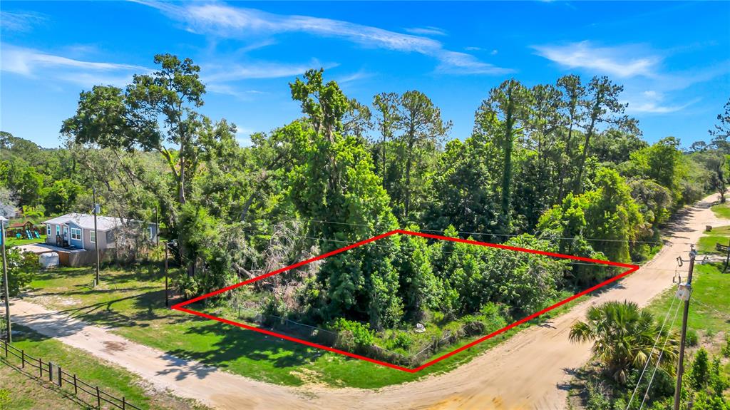 Property for sale at 40850 PINE TREE LANE, EUSTIS, FL, 32736