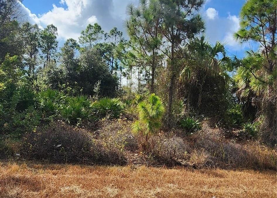 Property for sale at FILBERT STREET, NORTH PORT, FL, 34288