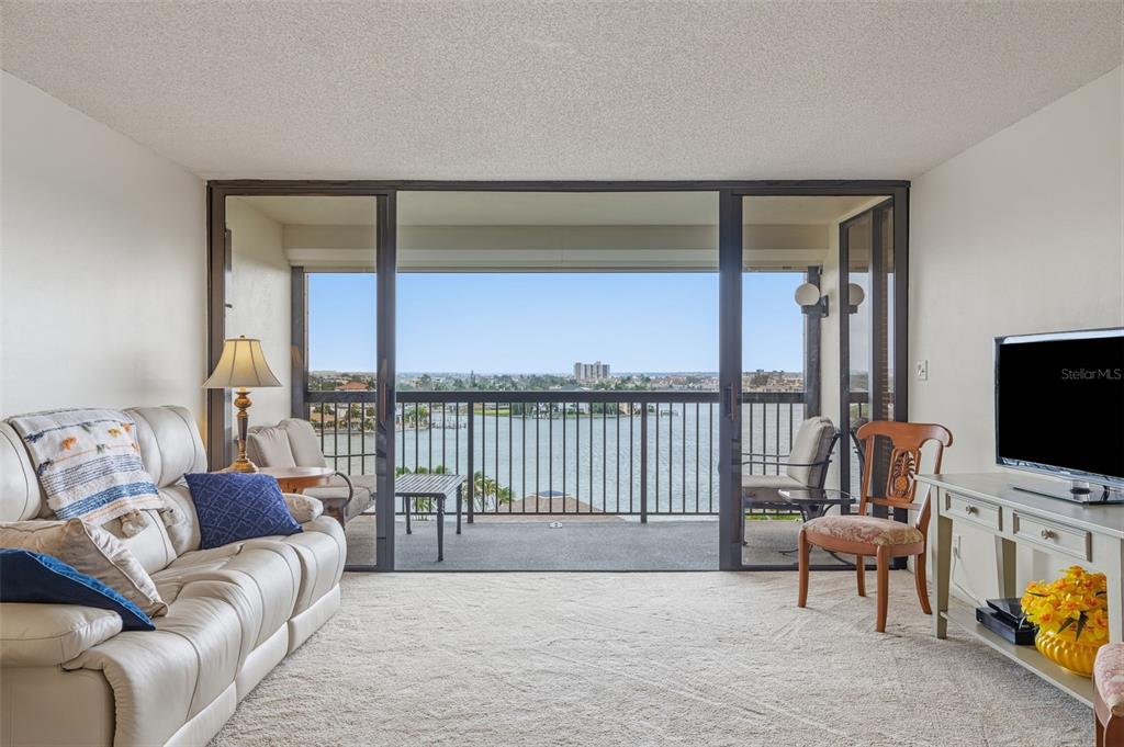 Living Room with Views