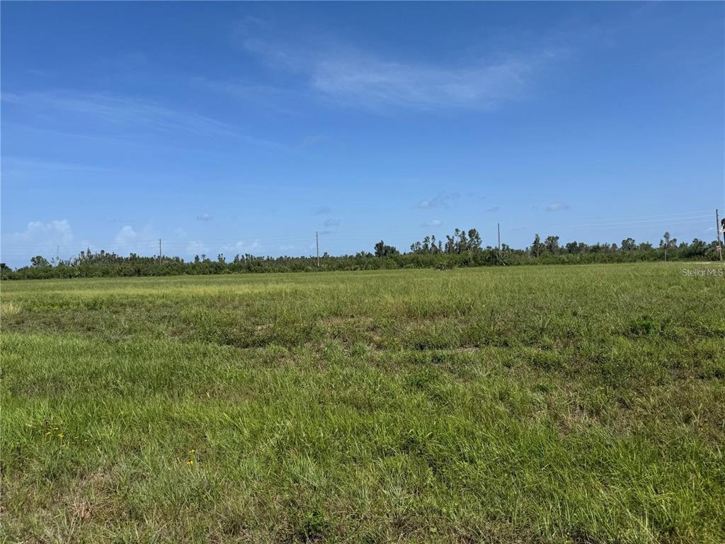 Property for sale at 4 CROTON COURT, PLACIDA, FL, 33946