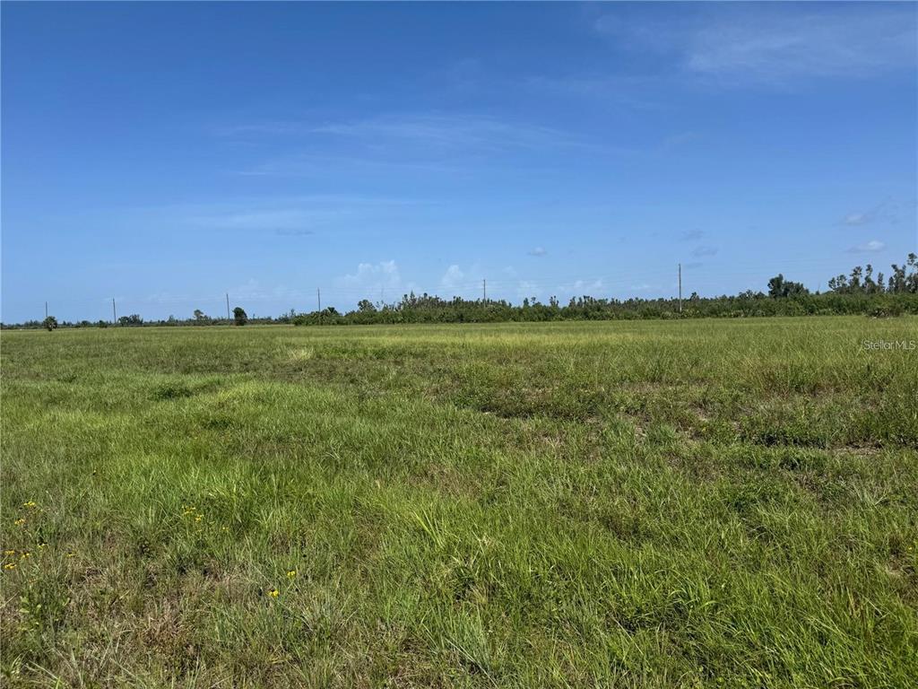 Property for sale at 4 CROTON COURT, PLACIDA, FL, 33946