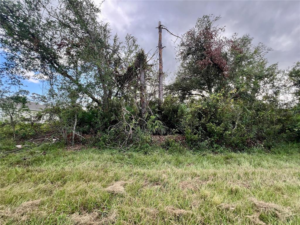 Property for sale at 12189 VAUGHAN AVENUE, PORT CHARLOTTE, FL, 33981