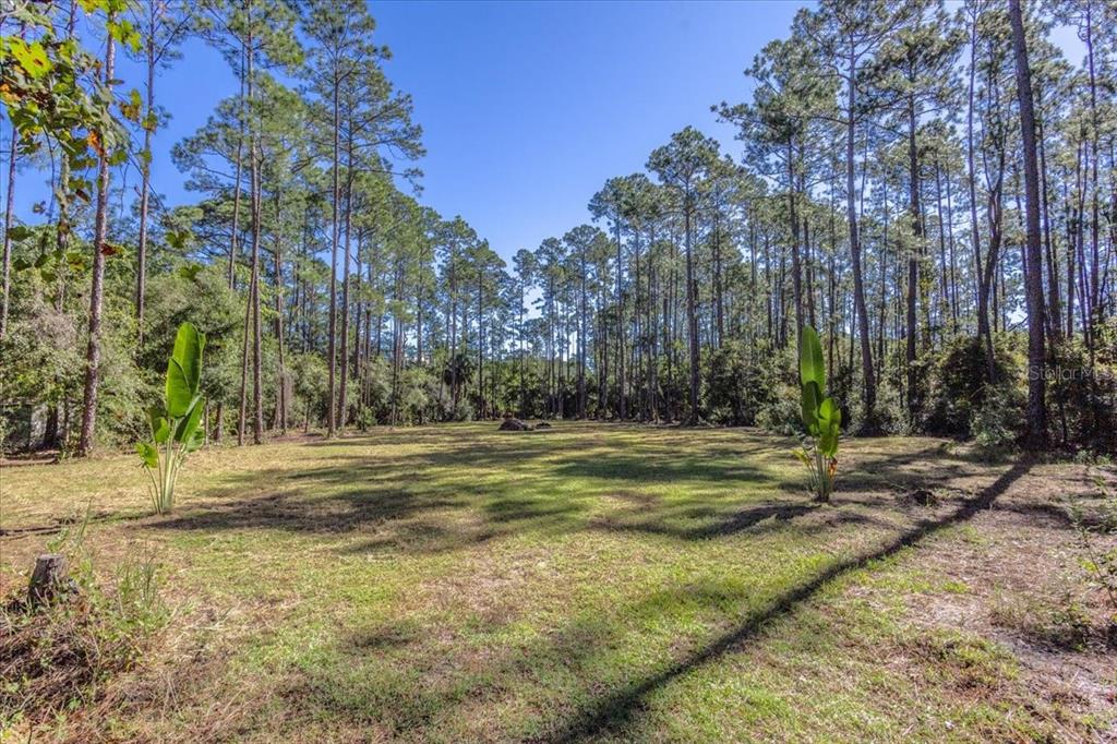 Property for sale at 1451 HICKORY ST., BUNNELL, FL, 32110