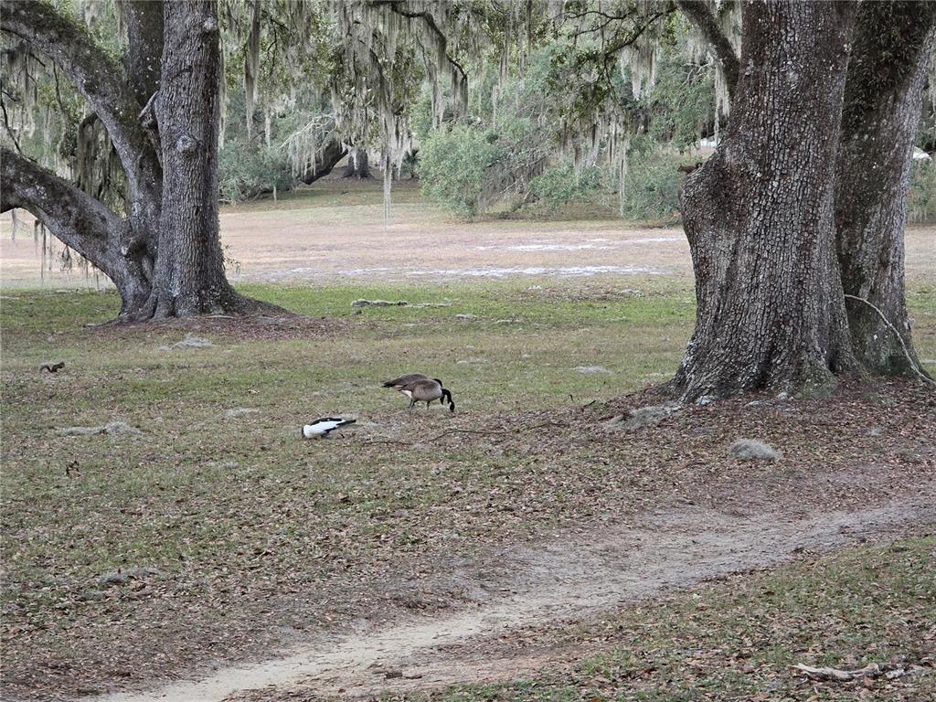 Property for sale at SW 136TH CT. RD, DUNNELLON, FL, 34432