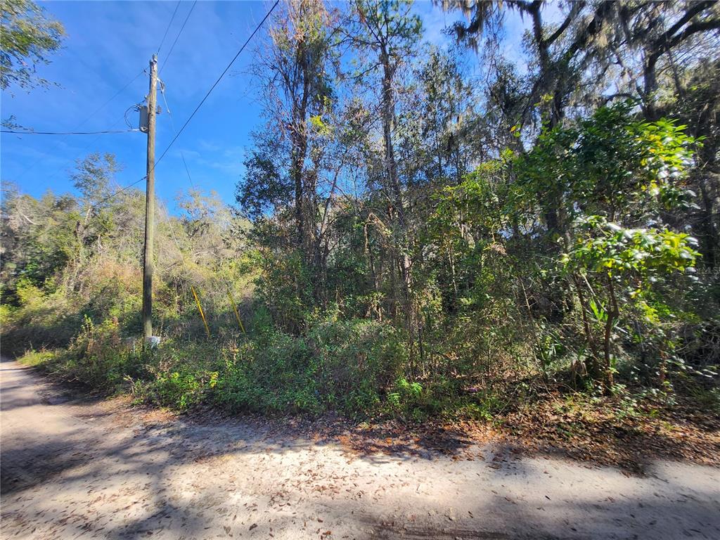 Property for sale at TBD NE 164TH PLACE, CITRA, FL, 32113
